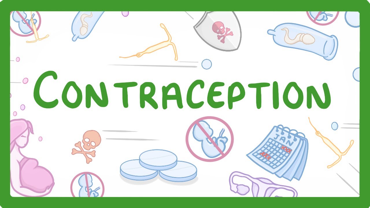 3-Contraception